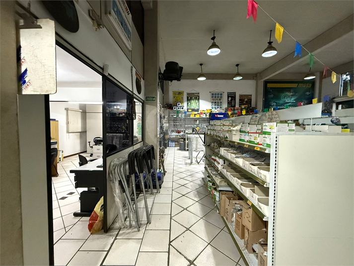 Foto REO1105862
