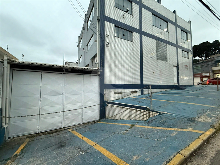 Foto REO1105862