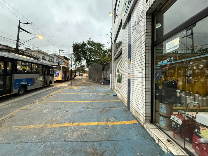 Foto REO1105862