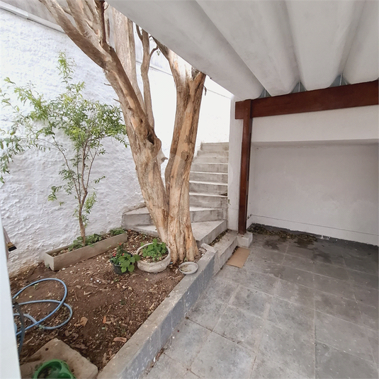 Foto REO1105867