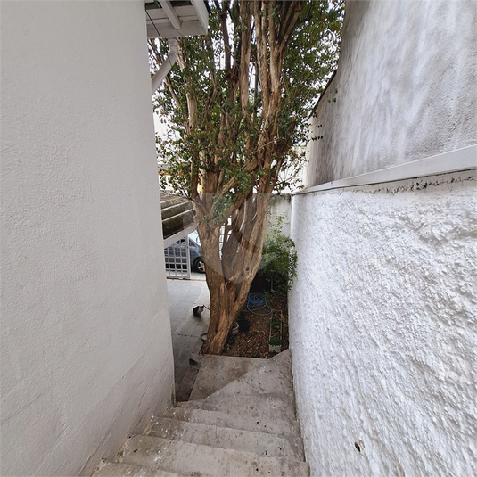 Foto REO1105867