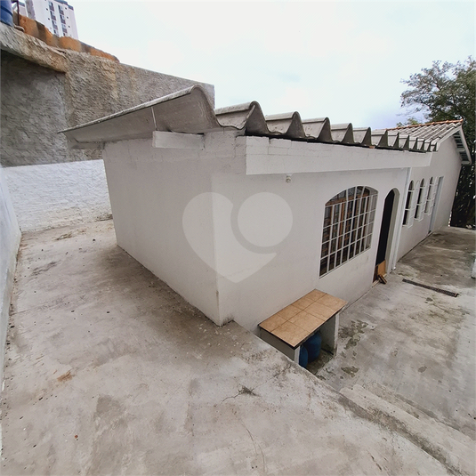 Foto REO1105867