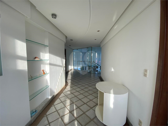 Foto REO1105877