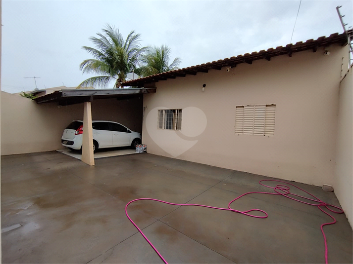 Foto REO1105880