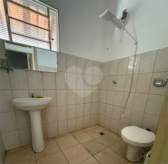 Foto REO1105886