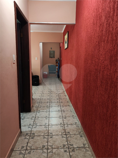 Foto REO1105893