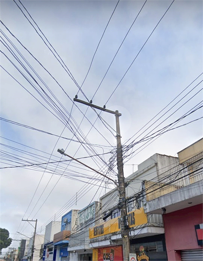 Foto REO1105900
