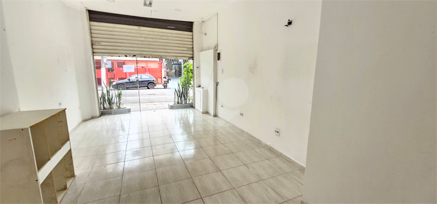 Foto REO1105902