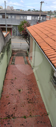 Foto REO1105903