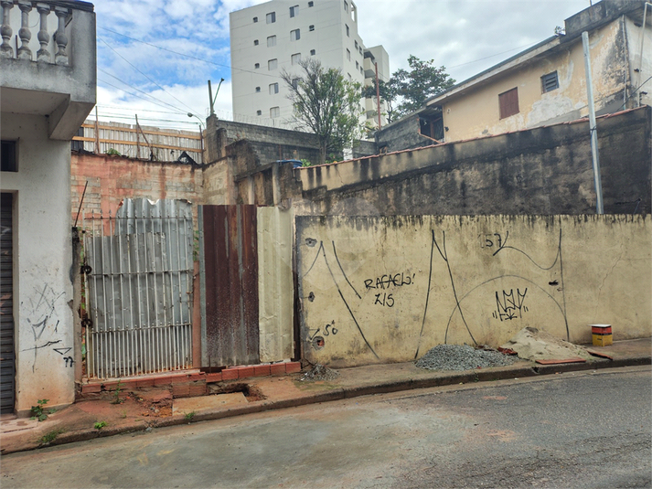 Foto REO1105911
