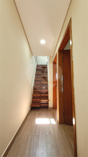 Foto REO1105916