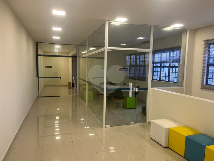 Foto REO1105925
