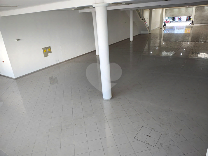 Foto REO1105940