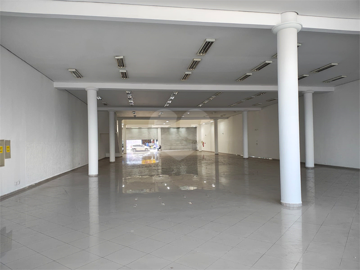 Foto REO1105940