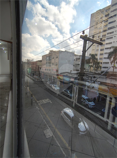 Foto REO1105940