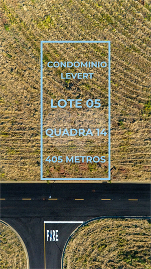 Foto REO1105963