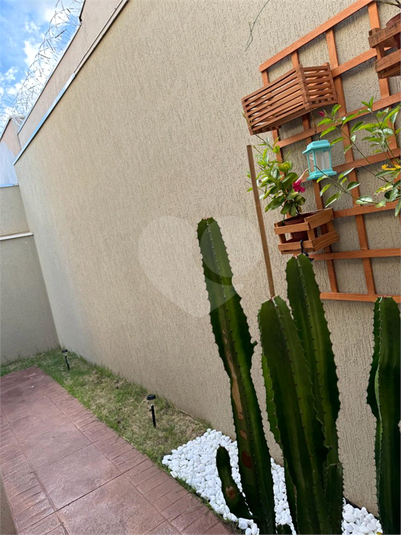 Foto REO1105982
