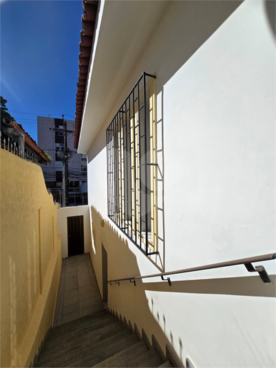 Foto REO1105984