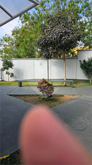Foto REO1105990