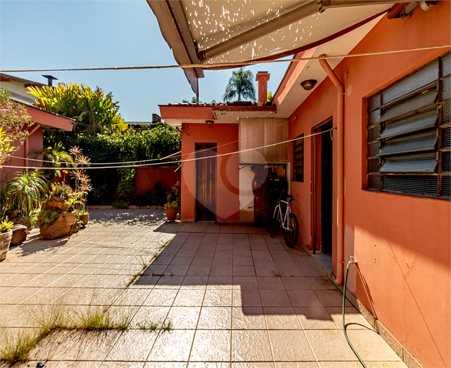 Foto REO1105991