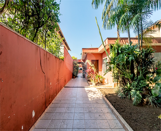 Foto REO1105991