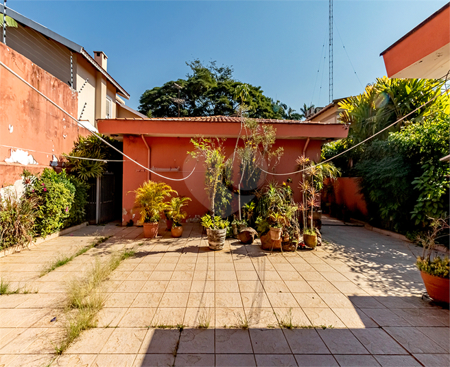 Foto REO1105991