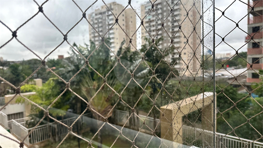 Foto REO1105992