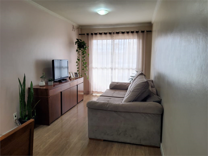 Foto REO1105993
