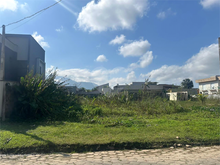 Foto REO1105994