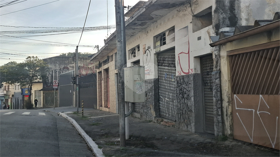 Foto REO1106008