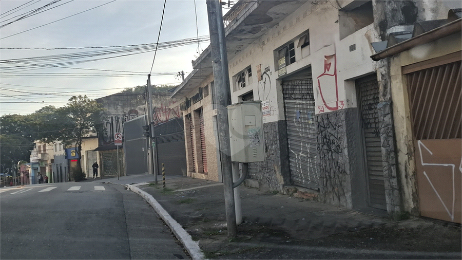 Foto REO1106008