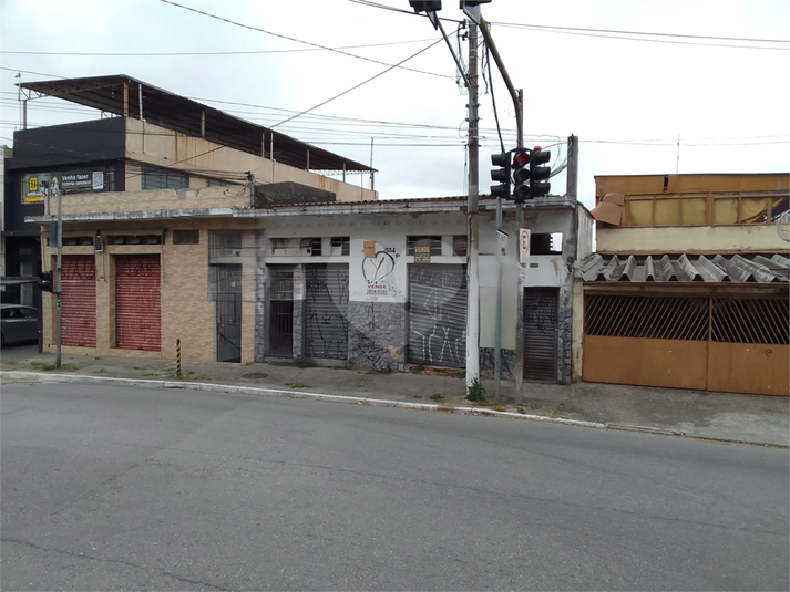 Foto REO1106010