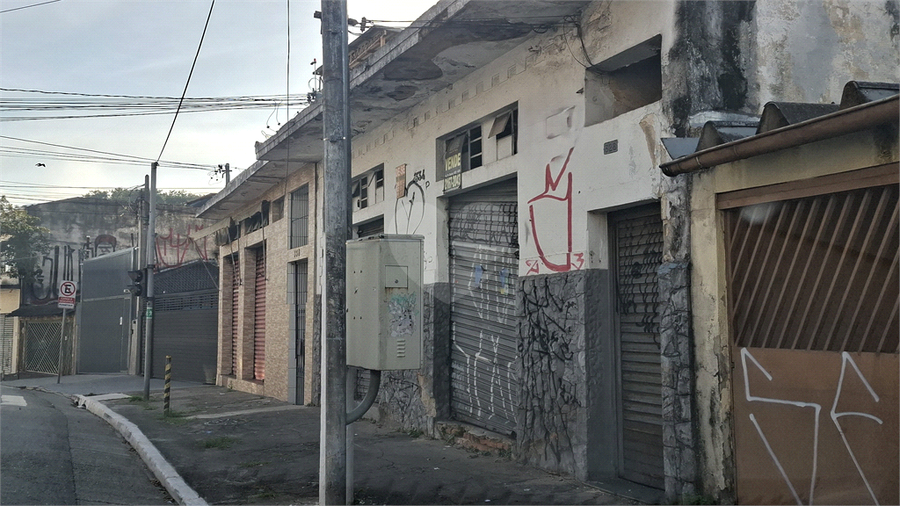 Foto REO1106010