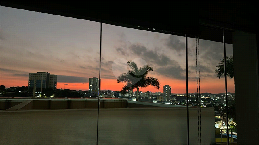Foto REO1106059