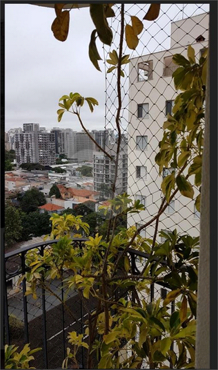 Foto REO1106064