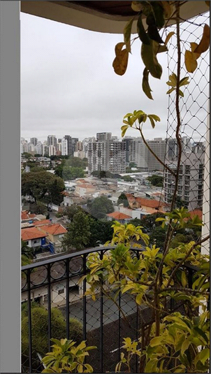 Foto REO1106064