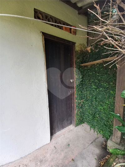 Foto REO1106088