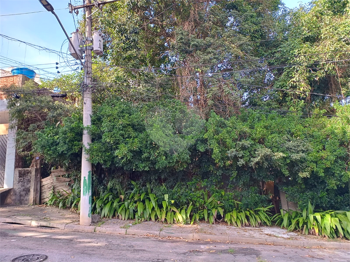 Foto REO1106147