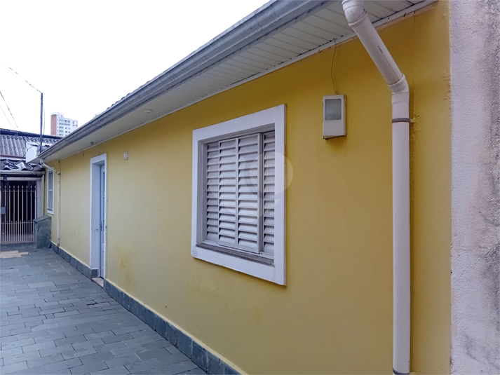 Foto REO1106156