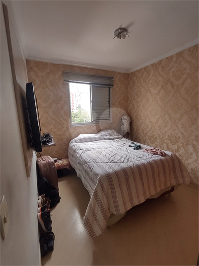 Foto REO1106197