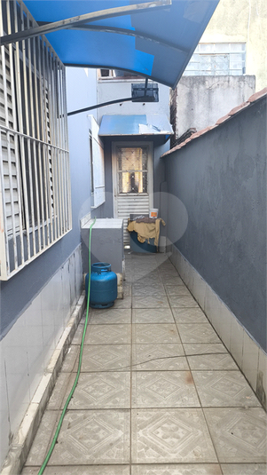 Foto REO1106209