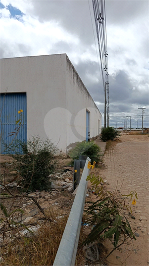 Foto REO1106210