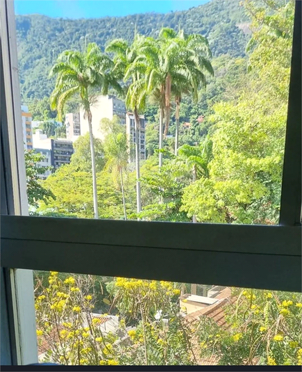 Foto REO1106235