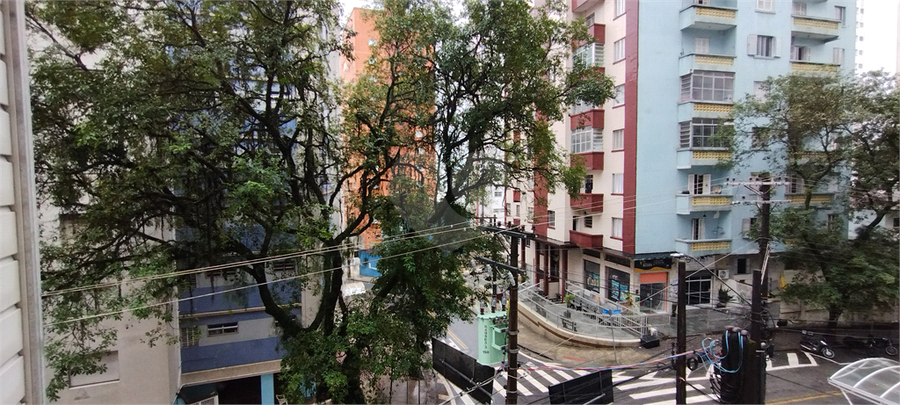 Foto REO1106244