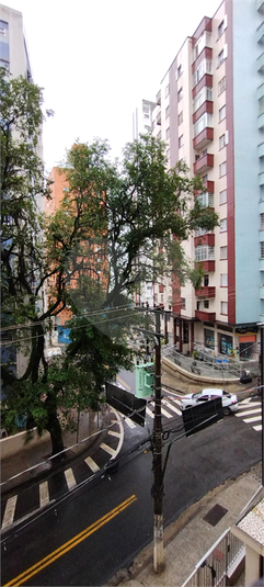 Foto REO1106244