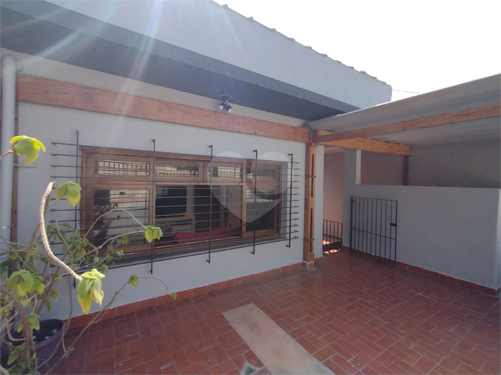 Foto REO1106255