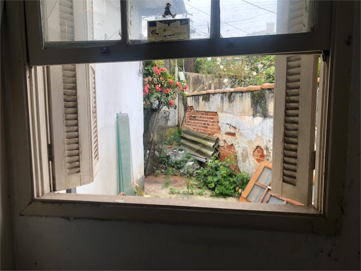 Foto REO1106269