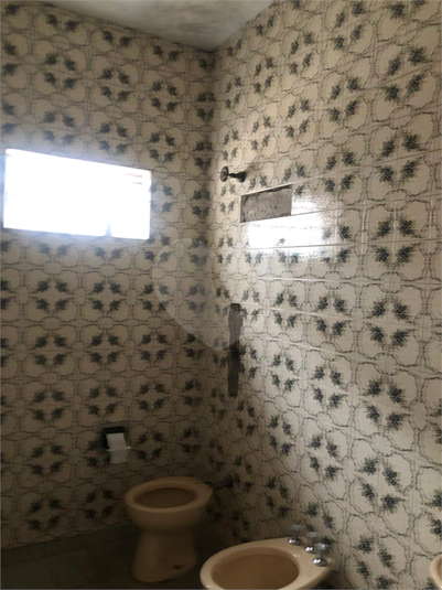 Foto REO1106269