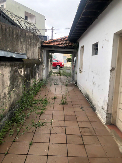 Foto REO1106269