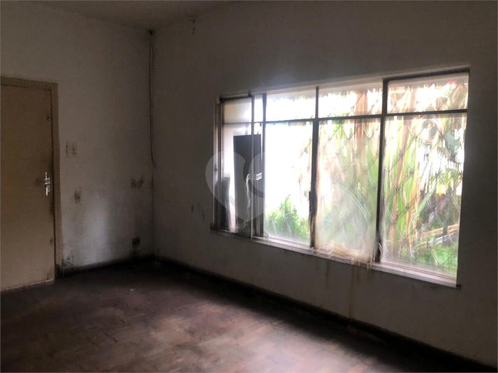 Foto REO1106269